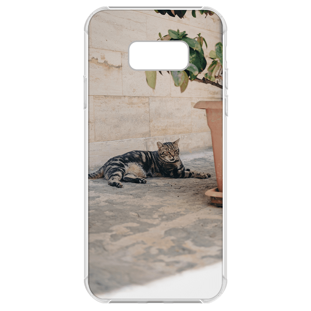 Samsung Galaxy S8 Plus Picture Case - Clear Bumper